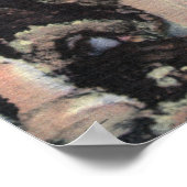 Manitou Springs, Colorado Poster (Hoek)