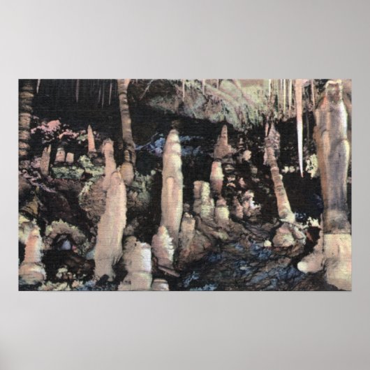 Manitou Springs, Colorado Poster (Voorkant)