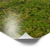 Manitou Springs Sign Framing Pikes Peak, Colorado Foto Afdruk (Hoek)