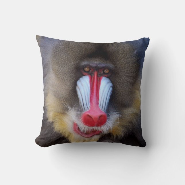 Manly Mandrill Kussen (Voorkant)