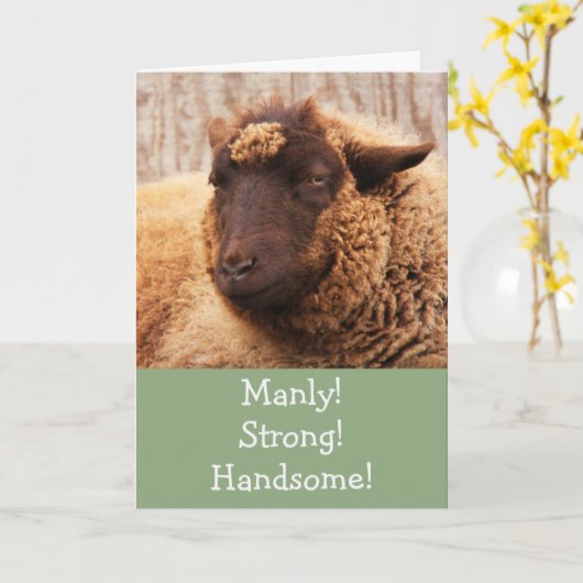 Manly Sheep Birthday Card Kaart (Gele Bloem)