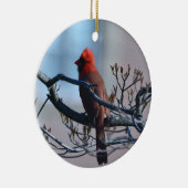 Mannelijk kardinaal Ornament (Rechts)