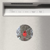Mannelijk kardinaal side uitzicht magneet (Insitu (Vaatwasser))