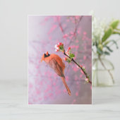 Mannelijk kardinaal Wenskaart Feestdagenkaart (Staand voorkant)