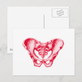 Mannelijk Pelvis Red Briefkaart (Voorkant / Achterkant)