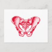 Mannelijk Pelvis Red Briefkaart (Voorkant)
