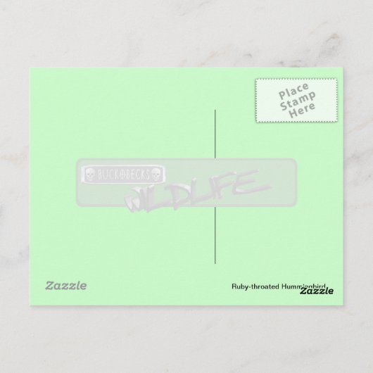 Mannelijk Ruby-throated Hummingbird Briefkaart. Briefkaart (Achterkant)