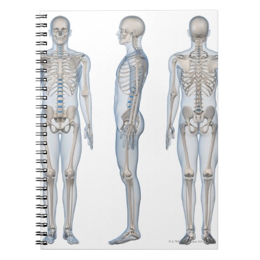 Mannelijk Skeleton 2 Notitieboek (Voorkant)