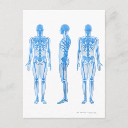 Mannelijk Skeleton Briefkaart (Voorkant)