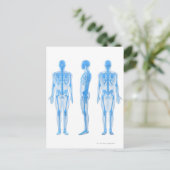 Mannelijk Skeleton Briefkaart (Staand voorkant)