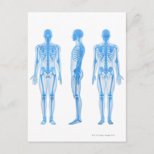 Mannelijk Skeleton Briefkaart