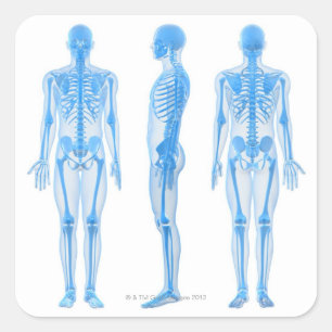 Mannelijk Skeleton Vierkante Sticker