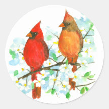 Mannelijk Vrouw Kardinaal Birds Dogwood Tree