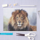 Mannelijke Afrikaanse Lion Tissuepapier (Craft)