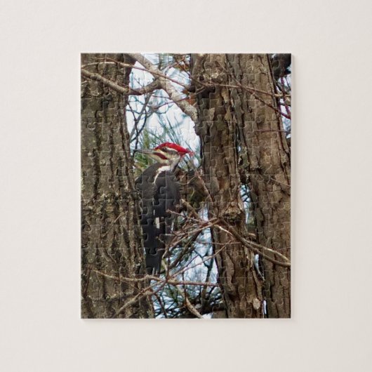 Mannelijke Amerikaanse zwarte specht Legpuzzel (Verticaal)