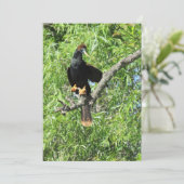 Mannelijke Anhinga (Snake Bird) Platte Kaart (Staand voorkant)