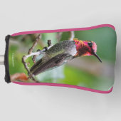 Mannelijke Anna's kolibrie op de pruimenboom Golfheadcover (Voorkant)