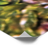 Mannelijke Anthia Poster (Hoek)