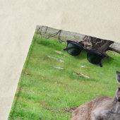 Mannelijke Australiër Kangaroo, Beach Towel Strandlaken (In situ)