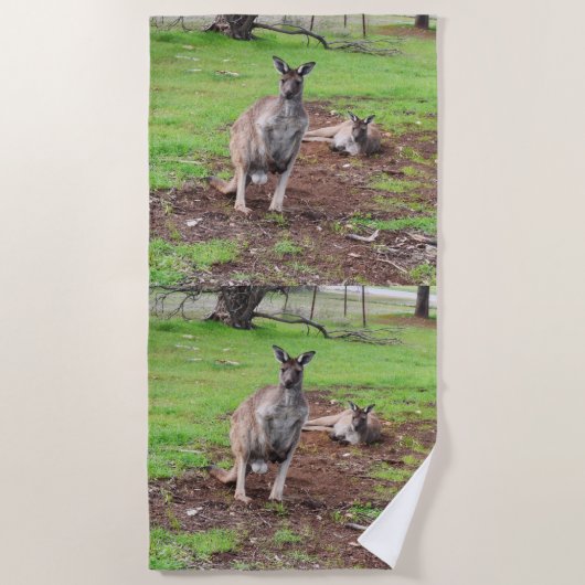 Mannelijke Australiër Kangaroo, Beach Towel Strandlaken (Voorkant)