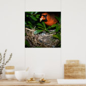 Mannelijke baby's die borstvoeding geven poster (Keuken)