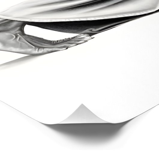 Mannelijke balletdanser perfect poster (Hoek)