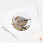 Mannelijke boer op de perenboom ronde sticker (Envelop)