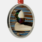 Mannelijke buffelkop in de middags-zon metalen ornament (Rechts)