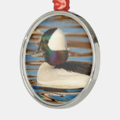 Mannelijke buffelkop in de middags-zon metalen ornament (Links)