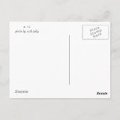 Mannelijke Canvasback-eend Briefkaart (Achterkant)