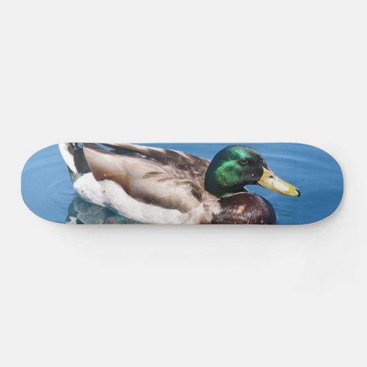Mannelijke Duck Skateboard (Horizontaal)