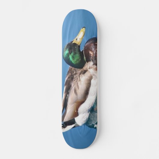 Mannelijke Duck Skateboard (Voorkant)