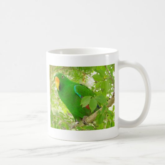 Mannelijke Eclectus Parrot Koffiemok (Rechts)