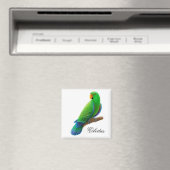 Mannelijke Eclectus Parrot Magnet (Insitu (Vaatwasser))