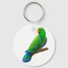 Mannelijke Eclectus Sleutelhanger