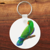 Mannelijke Eclectus Sleutelhanger (Voorkant)