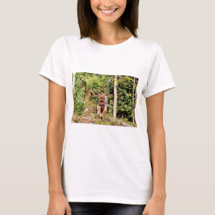Mannelijke eland in Rocky Mountain National Park,  T-shirt