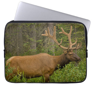 Mannelijke Eland   Nationaal Park Banff, Alberta,  Laptop Sleeve