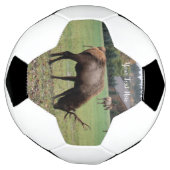 Mannelijke Elk Antlers die grazen in Grass Barn Fo Voetbal (Gedraaid)