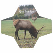 Mannelijke Elk Antlers die grazen in Grass Barn Fo Voetbal (Enkel)