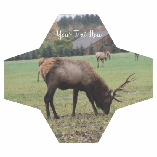 Mannelijke Elk Antlers die grazen in Grass Barn Fo Voetbal (Enkel)