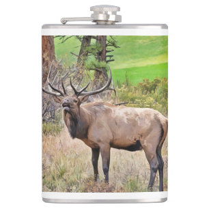 Mannelijke Elk in Estes Park, Colorado tijdens sep Heupfles