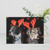 Mannelijke en vrouw Grote Deen bij rendiergeweien (Staand voorkant)