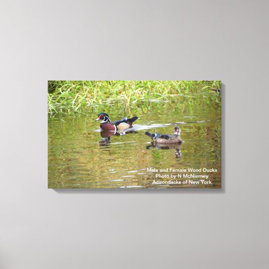 Mannelijke en Vrouw Houteenden Canvas Afdruk (Voorkant)