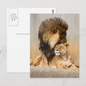 Mannelijke en Vrouw Lion in Love Briefkaart (Voorkant / Achterkant)