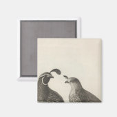 Mannelijke en Vrouw Partridge in Californië Magneet (Voorkant / Achterkant)