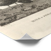 Mannelijke en Vrouw Partridge in Californië Poster (Hoek)