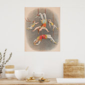 Mannelijke en Vrouw trapeze performers Poster (Keuken)