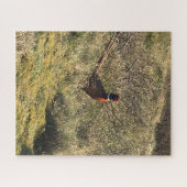 Mannelijke fazant in de natuur legpuzzel (Horizontaal)