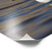 Mannelijke Goldenoogeend Foto Afdruk (Hoek)